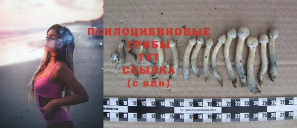 мдма Краснотурьинск